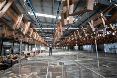 貴州天柱：萬畝“金”竹“雕”出山