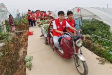 安徽廬江：“鄉(xiāng)村振興＋”勞動實踐主題教育