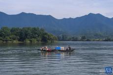 杭州富春江開(kāi)漁 漁民喜迎江鮮豐收