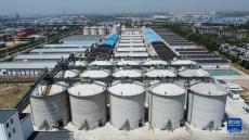 天津：現(xiàn)代化糧倉(cāng)啟用 服務(wù)夏糧收儲(chǔ)