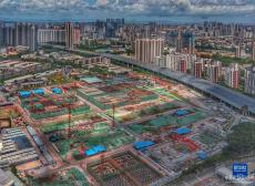 奮戰(zhàn)大灣區(qū)“燈塔工廠”