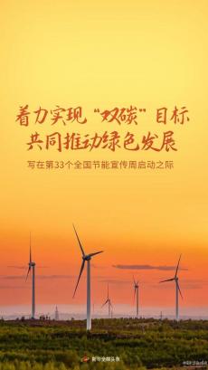 著力實現(xiàn)“雙碳”目標(biāo) 共同推動綠色發(fā)展