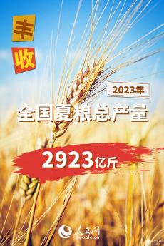 2023年全國(guó)夏糧總產(chǎn)量14613萬(wàn)噸 實(shí)現(xiàn)豐收