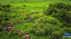 陜西留壩：“涼資源”激活“熱經(jīng)濟(jì)” 秦嶺小城避暑游升溫