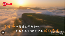 習(xí)近平四川行丨蜀道明珠——走進(jìn)翠云廊