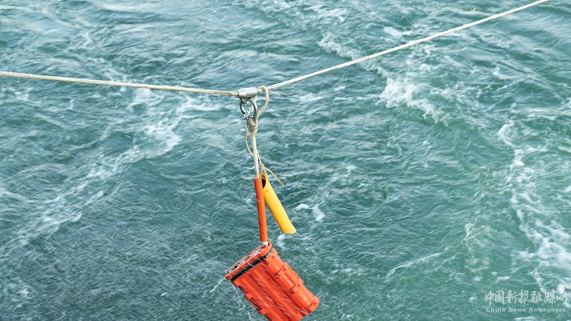 “海脈”入水瞬間。受訪者供圖