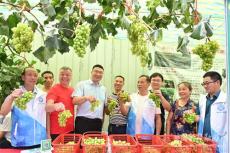 隆回縣舉辦農(nóng)產(chǎn)品展銷節(jié)暨食品安全宣傳周活動(dòng)