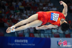 力與美的較量 大運(yùn)會體操選手翻轉(zhuǎn)騰空競技藝