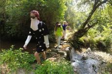 徒步深山古道  欣賞生態(tài)美景