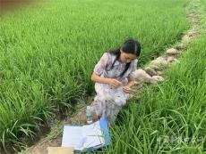 湖南寧遠(yuǎn)縣：加強(qiáng)轉(zhuǎn)基因檢測??確保農(nóng)業(yè)生物安全