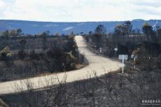 西班牙特內(nèi)里費(fèi)島野火加劇　萬余人疏散