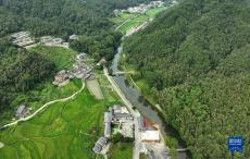 港背村森林小鎮(zhèn)的暑期開(kāi)業(yè)季