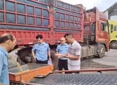 新田縣多部門聯(lián)動執(zhí)法開展食購銷聯(lián)合抽查行動