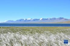 西藏阿里：雪山下的打加錯