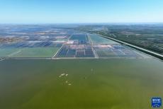 河北海興：“藍(lán)色糧倉(cāng)”收獲忙