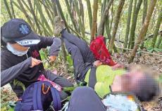 臺登山團(tuán)遭虎頭蜂攻擊 2死9傷