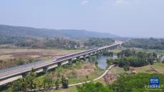 跋山涉水的鋼鐵巨龍——雅萬(wàn)高鐵重難點(diǎn)工程盤(pán)點(diǎn)