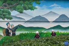 鏡觀中國丨全面深化改革十年間·鄉(xiāng)村振興新面貌