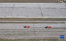 新疆棉花陸續(xù)進(jìn)入采收季