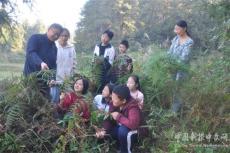 隆回高洲中學(xué)開展戶外植物認(rèn)知體驗(yàn)活動(dòng)
