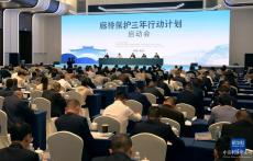 廊橋保護(hù)三年行動(dòng)計(jì)劃啟動(dòng)會(huì)在浙江溫州舉行