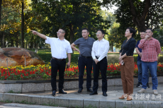 文明創(chuàng)建｜珠暉區(qū)大力推動(dòng)全國文明城市創(chuàng)建工作