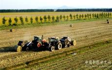 安徽廬江：搶收單季稻