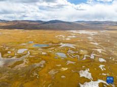西藏昌都：鳥(niǎo)瞰美麗的拉妥濕地