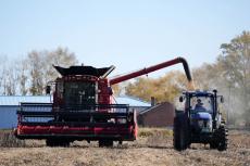 力保收成 科技助力——我國東北糧食主產區(qū)秋收見聞