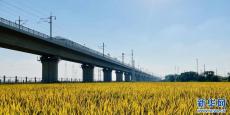 即將開(kāi)通！昌景黃高鐵全線(xiàn)試運(yùn)行
