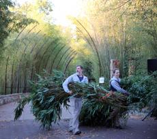 旅美大熊貓全家乘專機(jī)回國