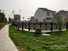 安徽廬江縣郭河鎮(zhèn)：整治人居環(huán)境 讓鄉(xiāng)村“靚”起來