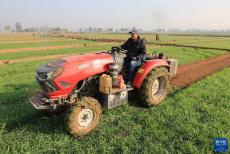 河北晉州：推進(jìn)高標(biāo)準(zhǔn)良田建設(shè)