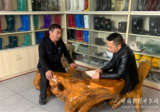 新邵縣陳家坊鎮(zhèn)：凝聚代表力量，紓解企業(yè)困難