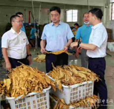 嘉禾縣普滿鄉(xiāng)財(cái)政所：抓實(shí)財(cái)源建設(shè)，擦亮鄉(xiāng)村發(fā)展底色