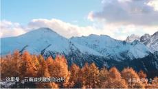 香格里拉通動車