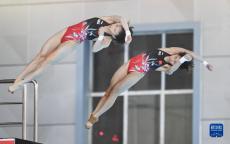 跳水——全國錦標賽：全紅嬋/陳芋汐女子雙人10米臺奪冠