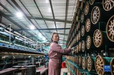 山東無棣：小漁網(wǎng)編織大市場(chǎng)