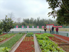 湖南攸縣寧家坪鎮(zhèn)：“四個強化”建戶廁，告別陋習美鄉(xiāng)村