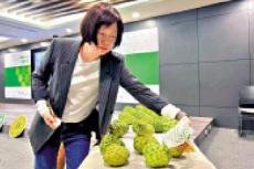 國臺辦：新一批臺灣番荔枝業(yè)者通過注冊