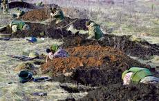 澤連斯基訪白宮討要軍援