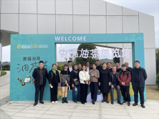 衡陽市祁東縣歸陽鎮(zhèn)開展“兩代表一委員”實地調(diào)研活動