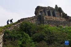 新時(shí)代中國調(diào)研行·長城篇｜嚴(yán)氏父子“解剖”長城