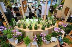 首設主賓國，冬交會“朋友圈”再擴大