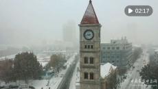 寒潮中的溫暖守護