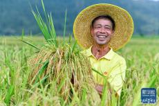 規(guī)劃來(lái)了！2024年，“三農(nóng)”工作這么干