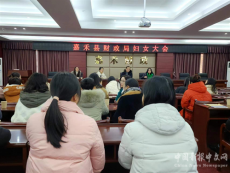 嘉禾縣財政局召開婦委會換屆選舉大會