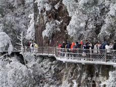 湖南莽山五指峰景區(qū)霧凇奇景迎游客