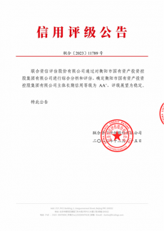 喜報！衡陽國投集團取得AA+信用等級