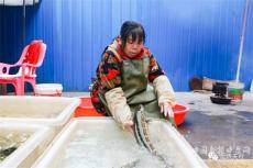 貴州天柱：“后扶政策”讓3.9萬庫區(qū)移民受益